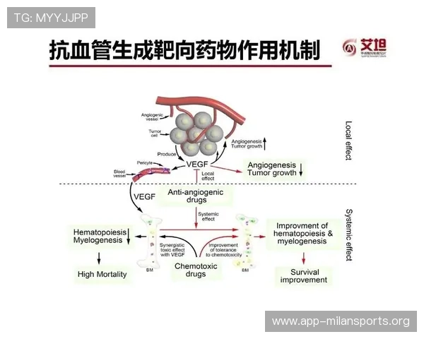 博尊体育安全保障措施：保障用户资金与个人信息安全的关键策略